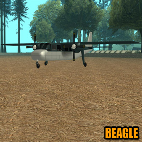 511_Beagle.jpg