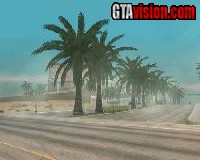San Andreas Realistic Palm Trees