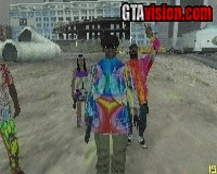 Hippies Skin Pack