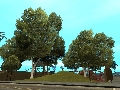 GTA: San Andreas: Trees by Bizzo